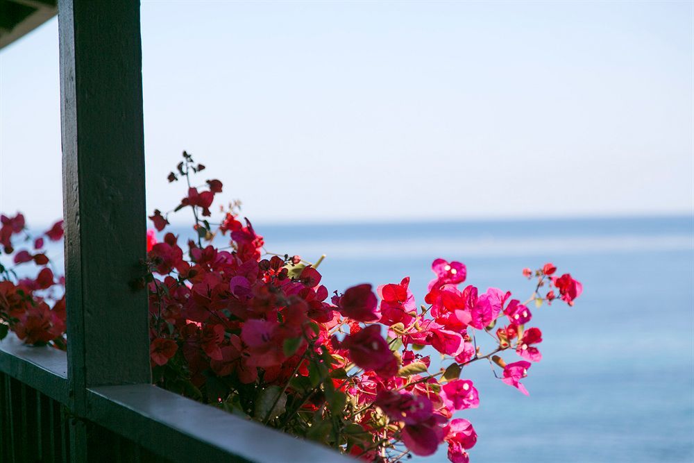 Scripps Inn ซานดิเอโก ภายนอก รูปภาพ